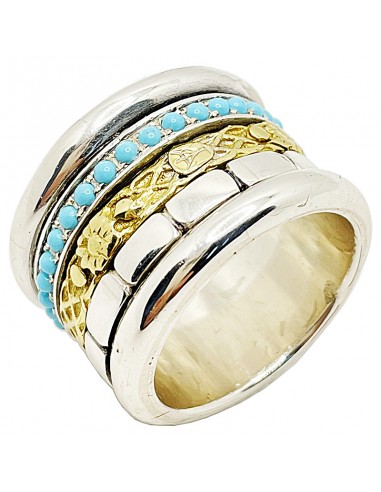 Anillo Pórtico