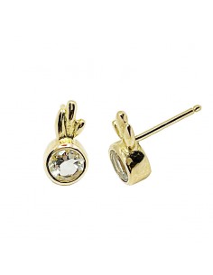 Pendientes Redondos 2