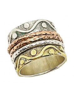 Anillo Puerta