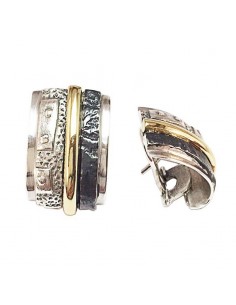 Pendientes Arquivolta 2