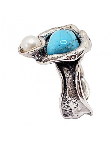 Anillo Volcán