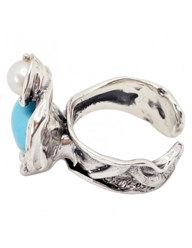 Anillo Volcán