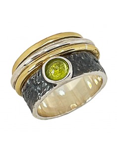 Anillo Contrafuerte