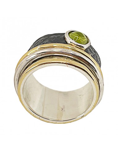 Anillo Contrafuerte
