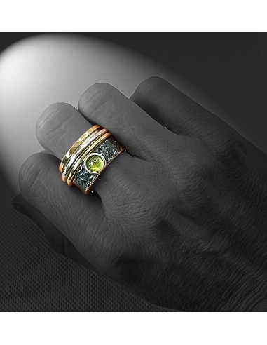Anillo Contrafuerte