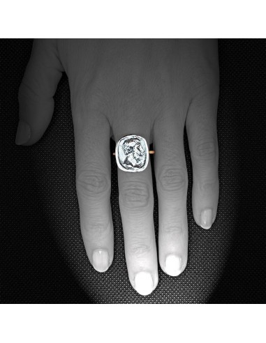 Anillo Follis