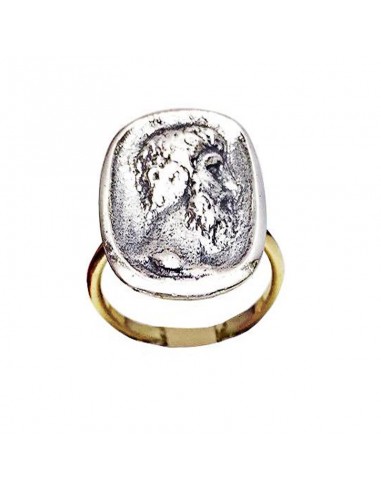 Anillo Follis