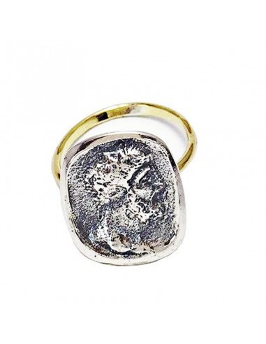 Anillo Follis