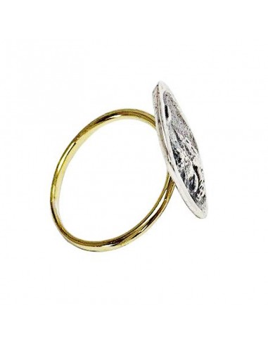 Anillo Follis