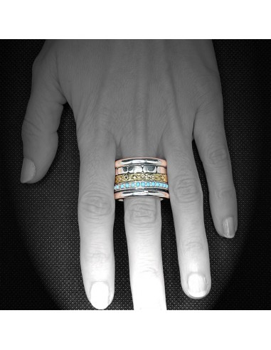 Anillo Pórtico