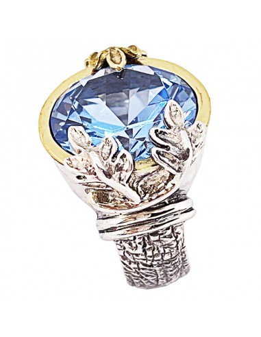 Anillo Poder