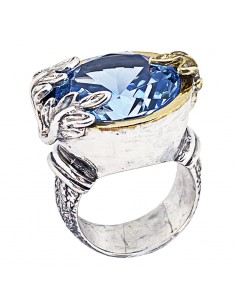 Anillo Poder