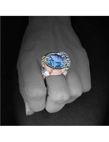 Anillo Poder