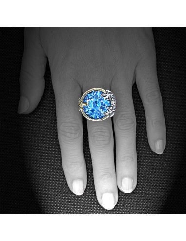 Anillo Poder