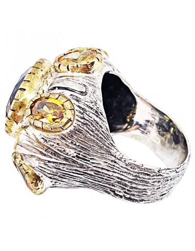Anillo Obispo