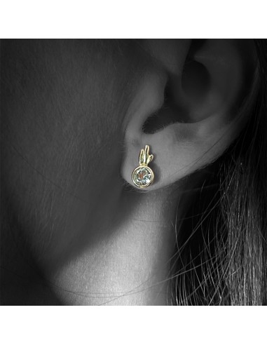 Pendientes Redondos