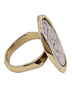 Anillo Semis