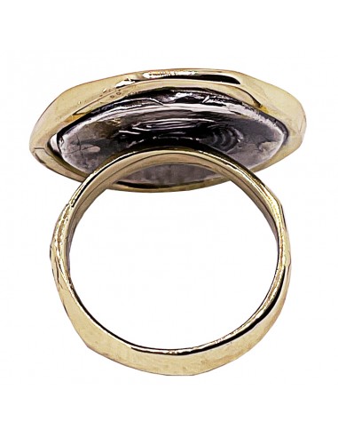 Anillo Semis