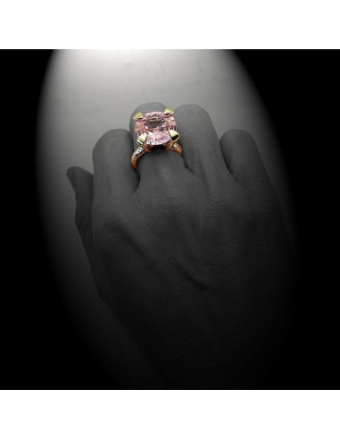 Anillo Princesa