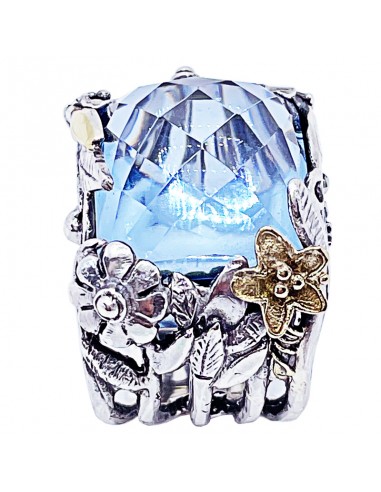 Anillo Étnico