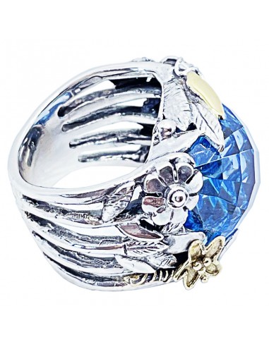 Anillo Étnico