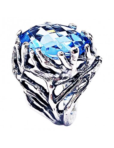 Anillo Ramas