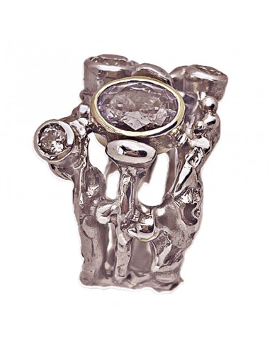 Anillo El Golfo